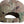 NYCO RipStop Multicam® Cap